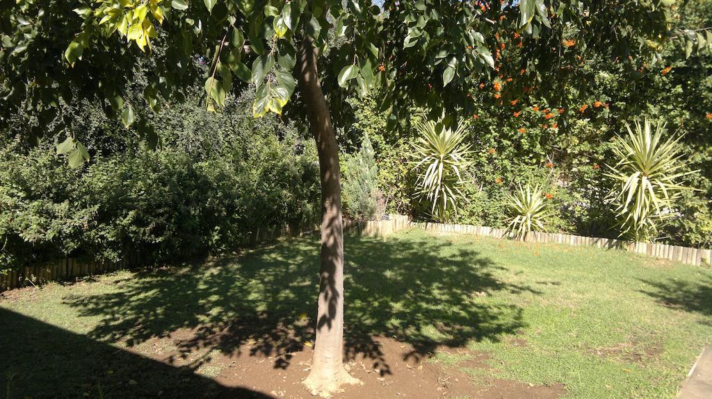 B&B On Church Oudtshoorn Exterior foto
